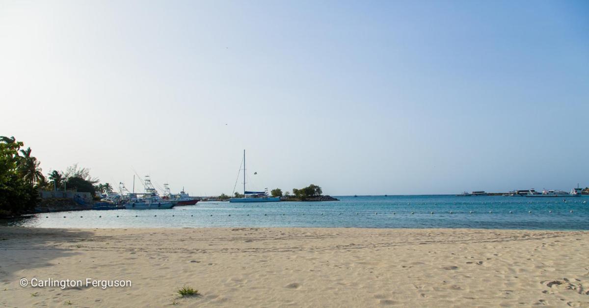 Turtle Beach Towers Ocho Rios Kültér fotó
